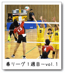 t[OPTځ|vol.1