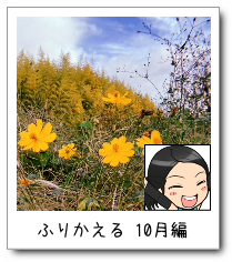 ӂ肩10